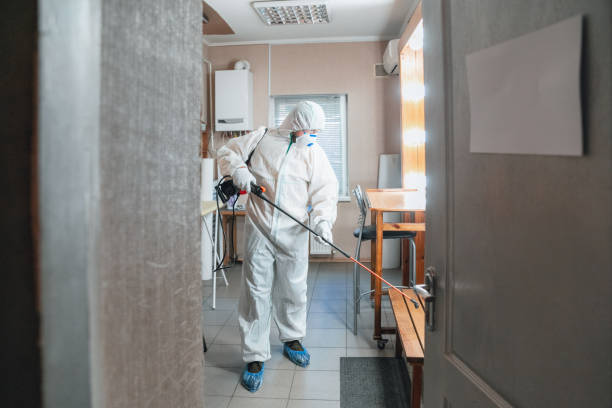 Best Mold Prevention Services  in West Yellowstone, MT