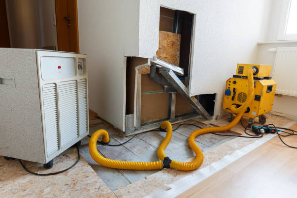 Best Environmental Consulting for Mold Prevention  in West Yellowstone, MT