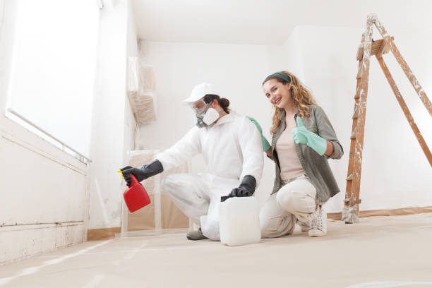 Best Emergency Mold Remediation  in West Yellowstone, MT